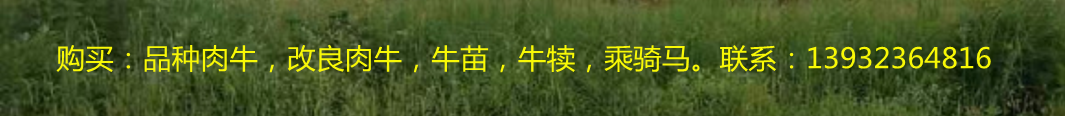 ţ磬ţr(ji)