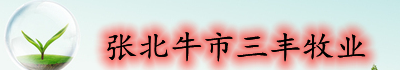 P҂